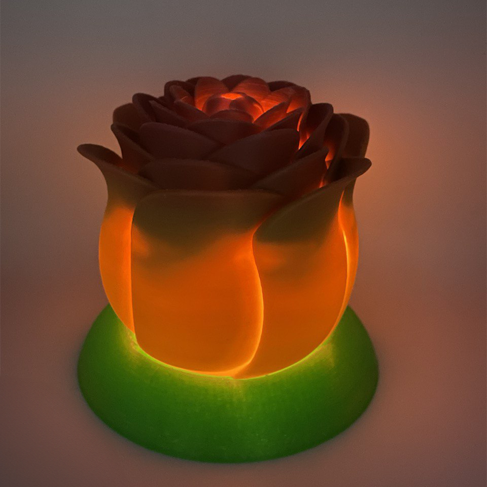 100% Customized 3D Printing Service